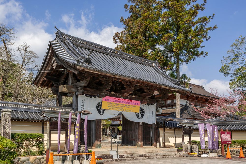 誕生寺の画像 - 4枚目