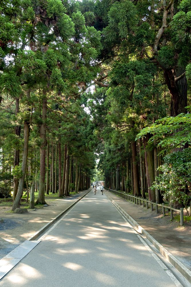 瑞巌寺の画像 - 6枚目