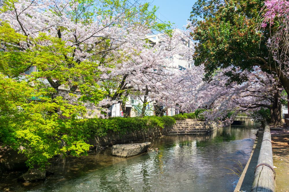 西川緑道公園の画像 - 4枚目
