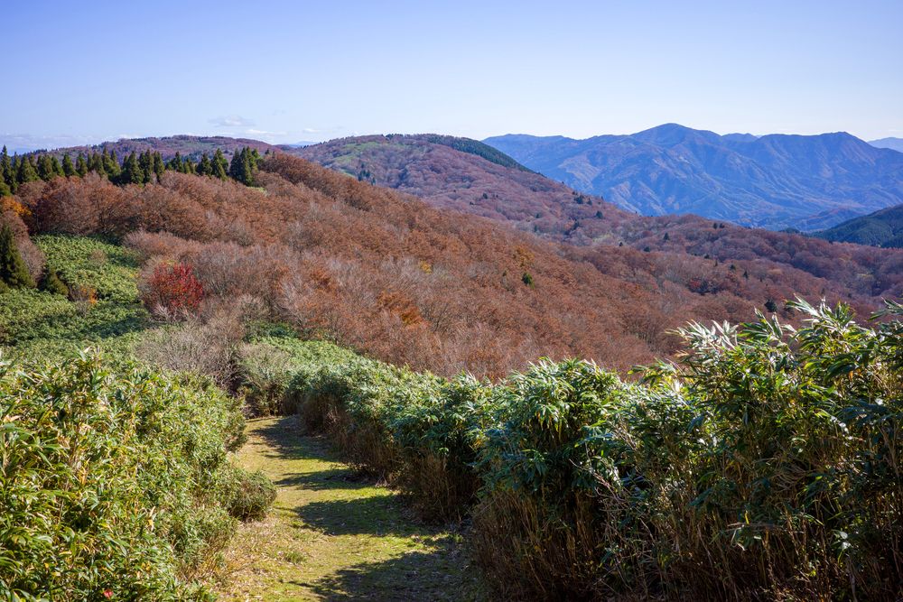 岡山県立森林公園の画像 - 3枚目