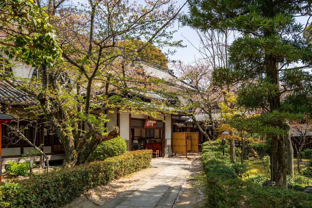 西大寺観音院の画像 - 2枚目