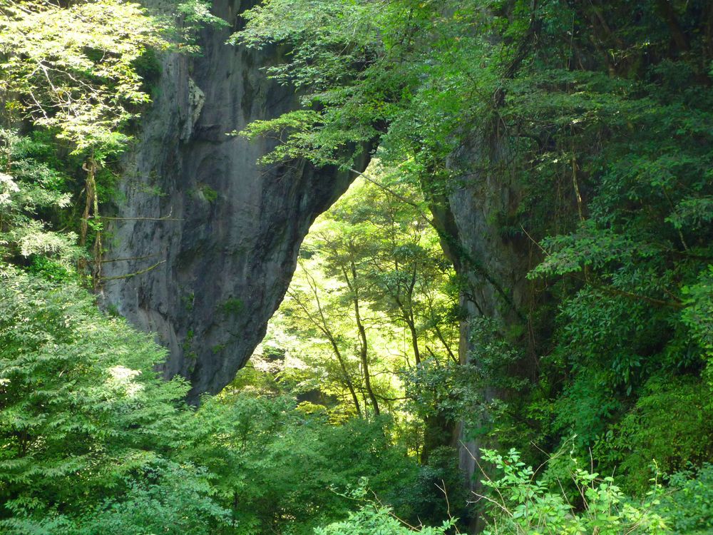 羅生門】の周辺スポット・アクセス・口コミ - Prism Japan