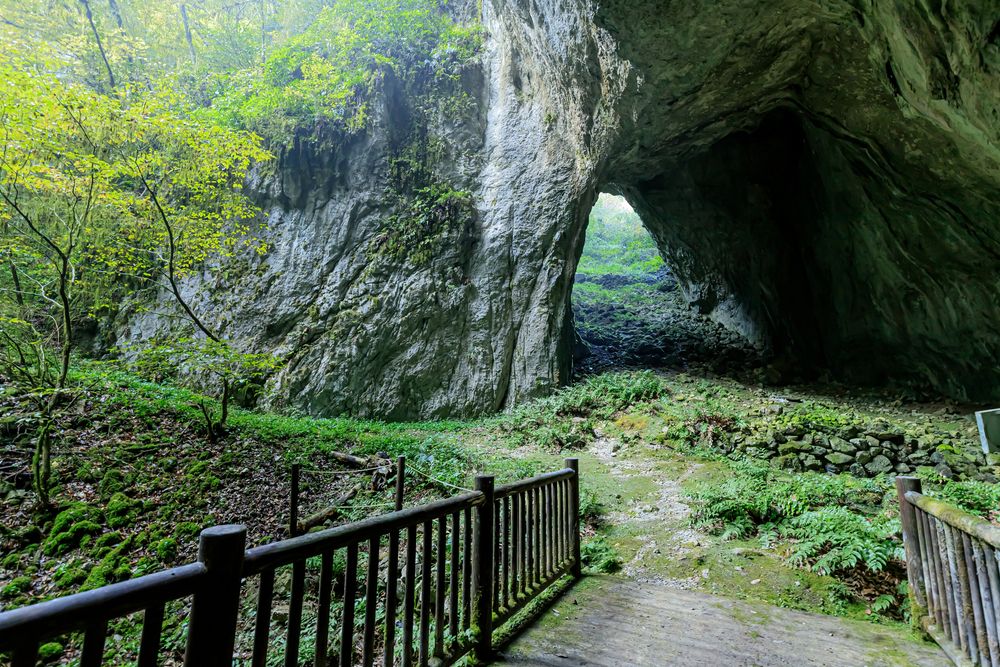 羅生門】の周辺スポット・アクセス・口コミ - Prism Japan