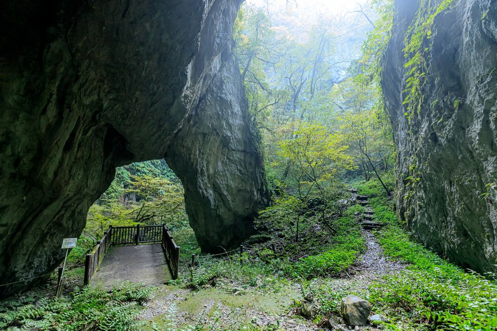 羅生門】の周辺スポット・アクセス・口コミ - Prism Japan