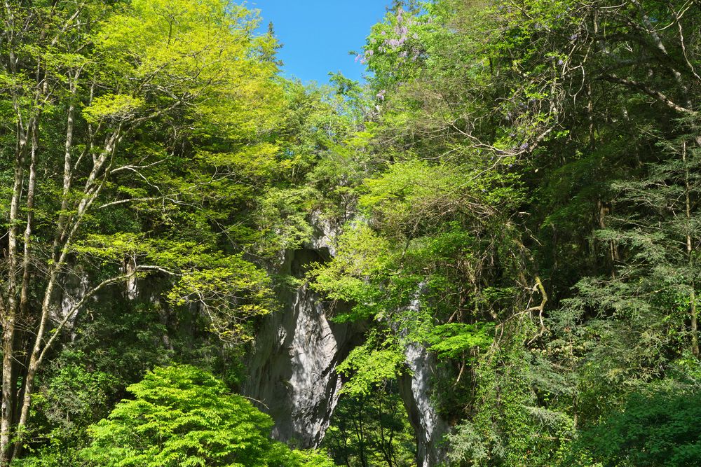 羅生門】の周辺スポット・アクセス・口コミ - Prism Japan