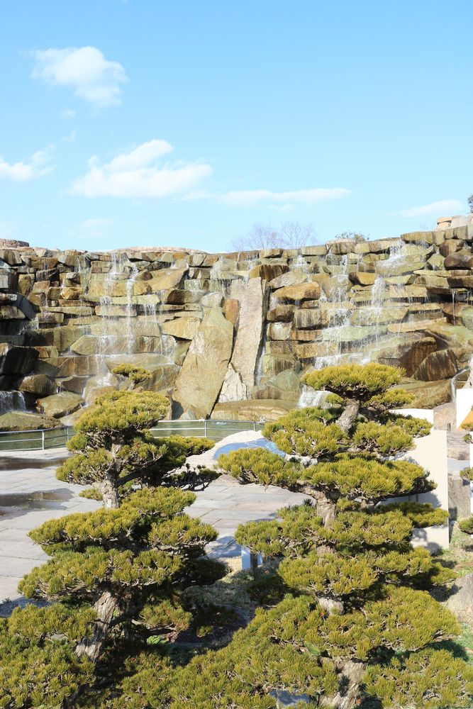 国営讃岐まんのう公園の画像 - 2枚目