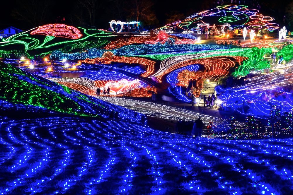 国営讃岐まんのう公園の画像 - 6枚目