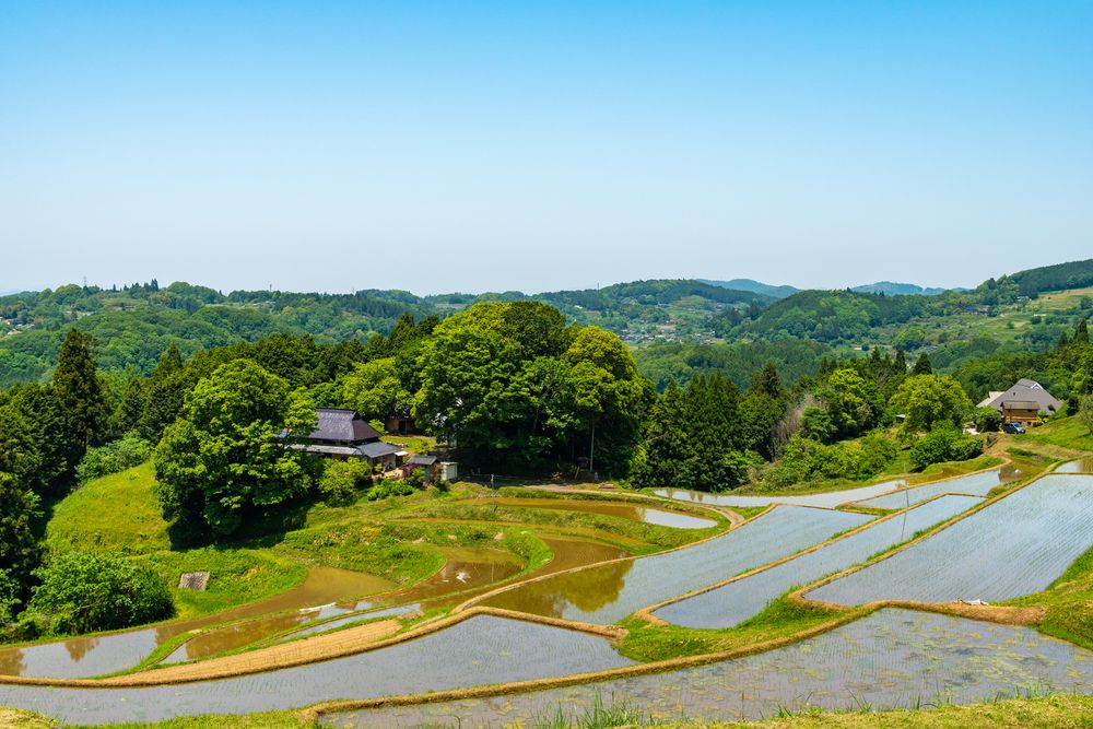 大垪和西の棚田の画像 - 2枚目