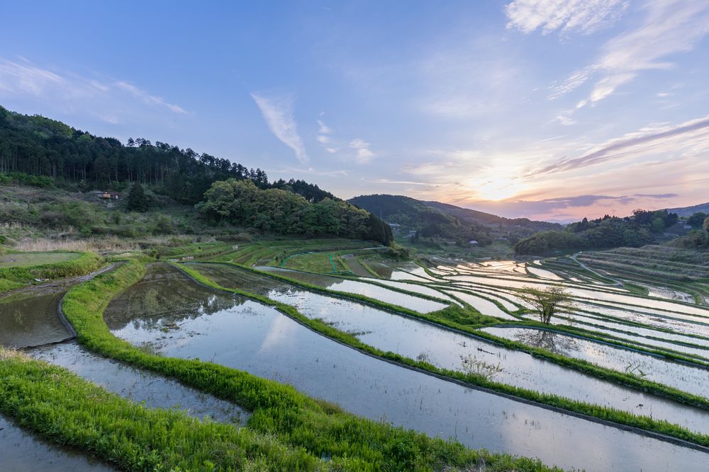 大垪和西の棚田の画像 - 3枚目