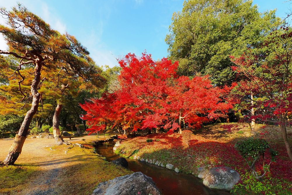 衆楽園の画像 - 3枚目