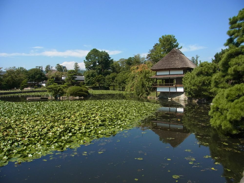 衆楽園の画像 - 4枚目