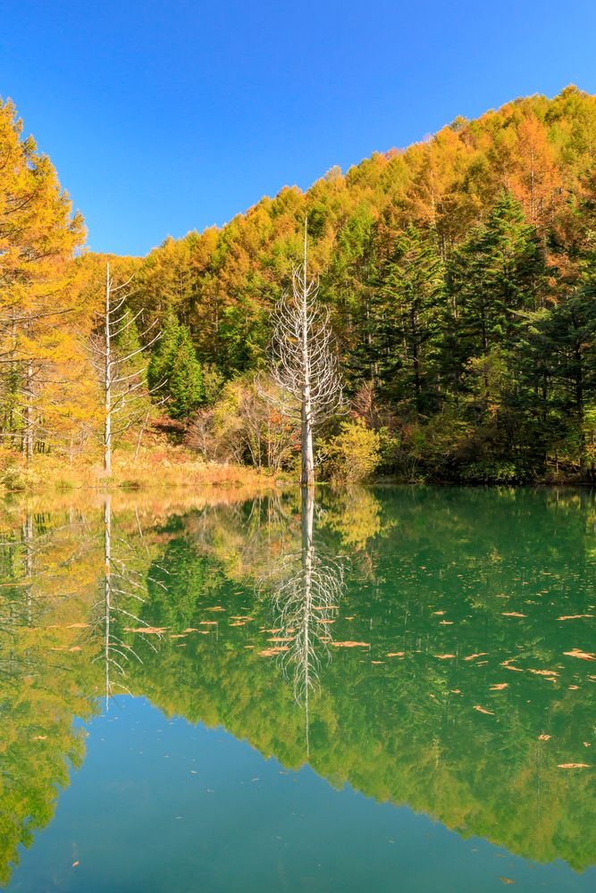 ヘブンスそのはらの画像 - 3枚目