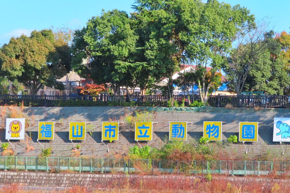 福山市立動物園の画像 - 4枚目