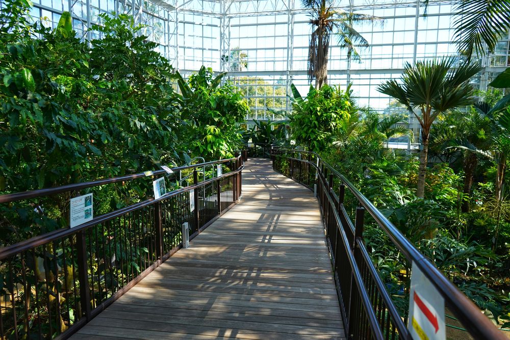 広島市植物公園の画像 - 2枚目