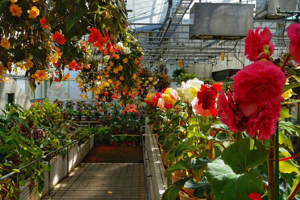 広島市植物公園の画像 - 3枚目