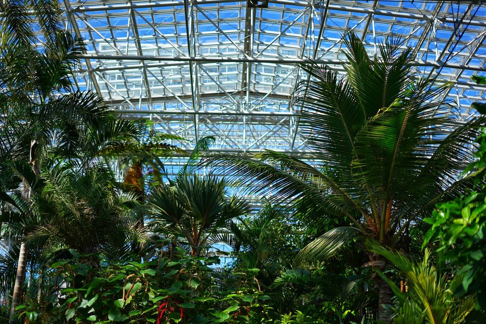 広島市植物公園の画像 - 4枚目
