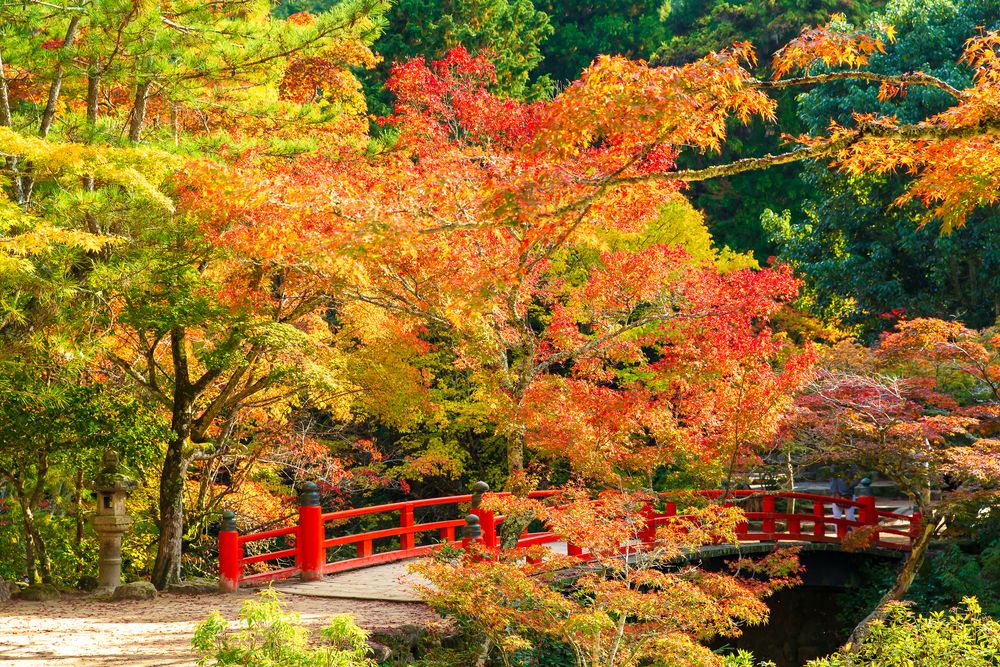 紅葉谷公園】の周辺スポット・アクセス・口コミ - Prism Japan