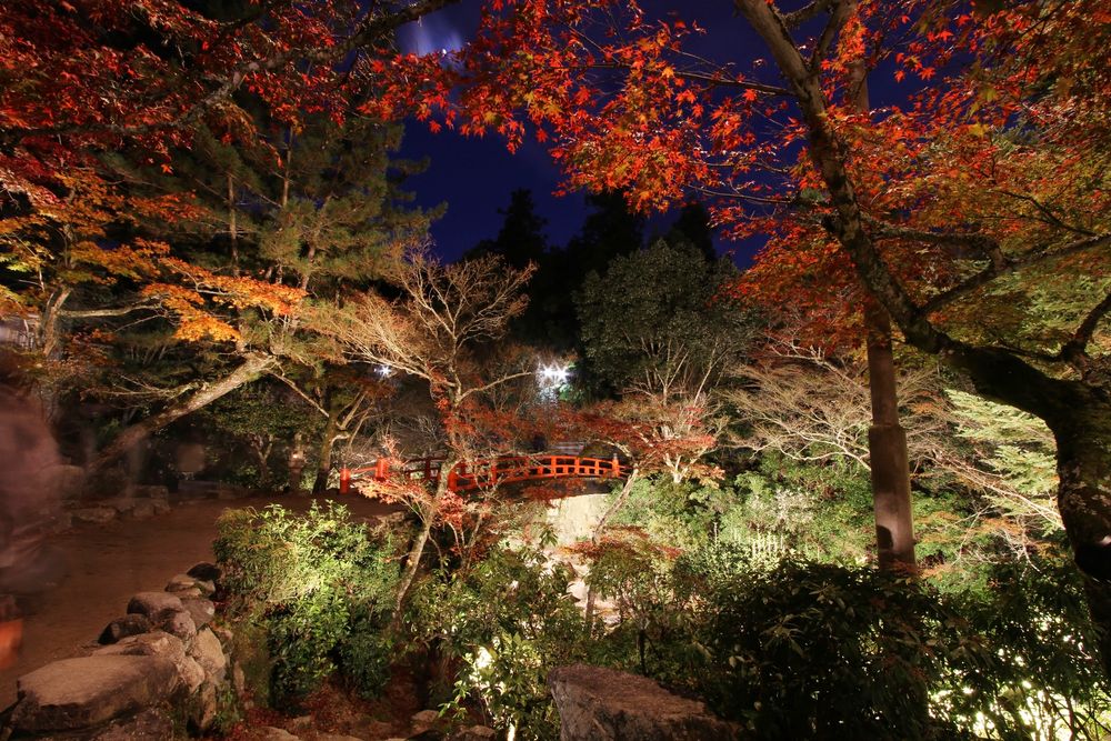 紅葉谷公園】の周辺スポット・アクセス・口コミ - Prism Japan