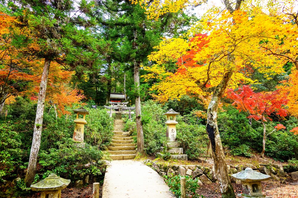 紅葉谷公園の画像 - 5枚目