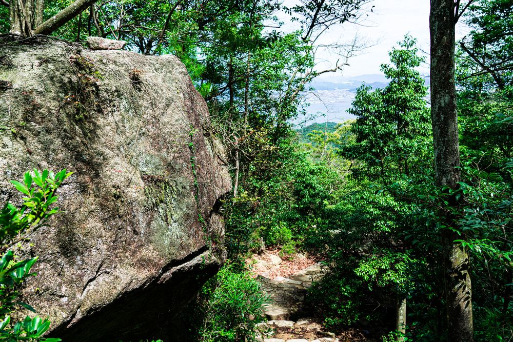 瀰山原始林の画像 - 3枚目