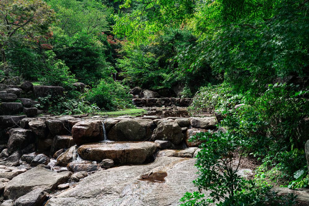 瀰山原始林の画像 - 4枚目