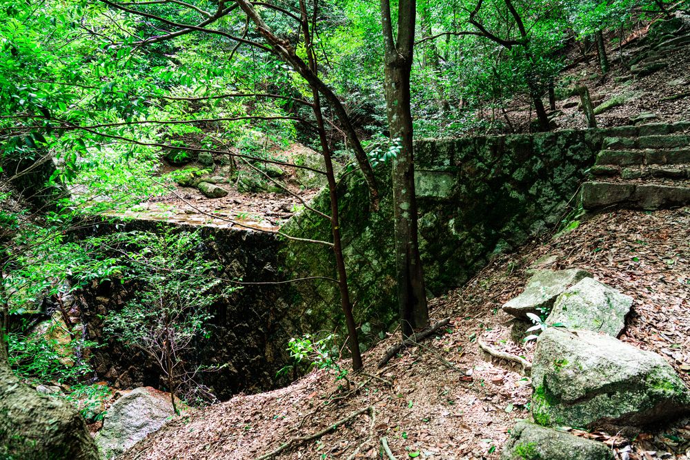 瀰山原始林の画像 - 5枚目