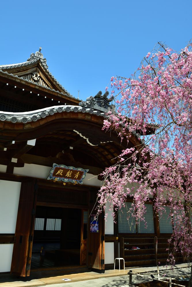 将軍塚青龍殿の画像 - 4枚目