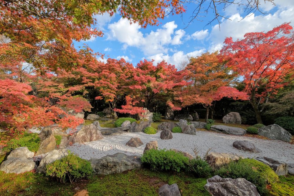 将軍塚青龍殿の画像 - 8枚目