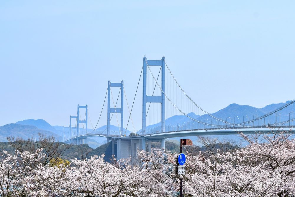 因島大橋の画像 - 3枚目