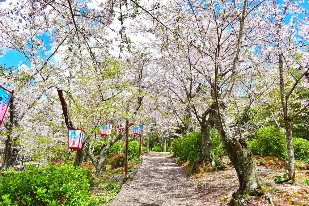 正福寺山公園の画像 - 3枚目