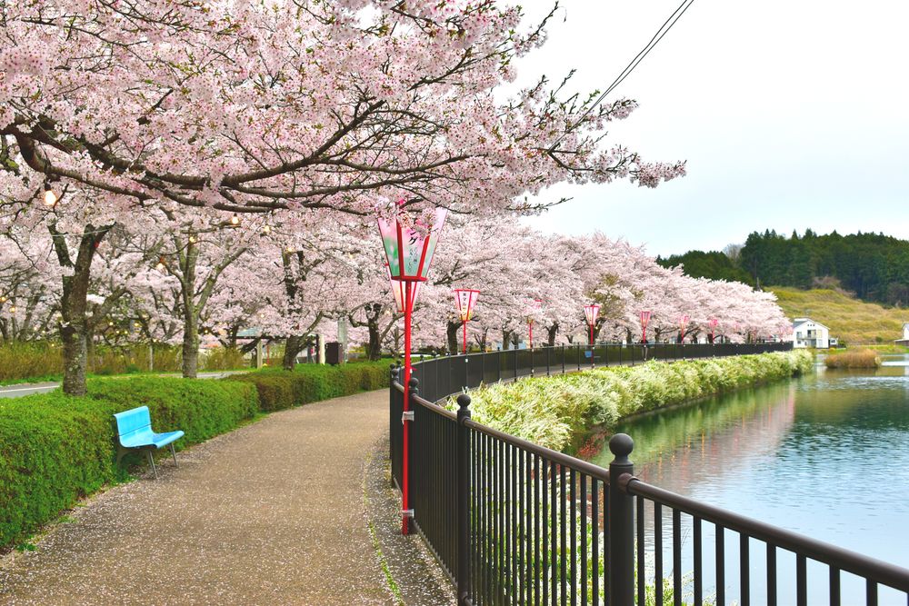 上野公園の画像 - 2枚目