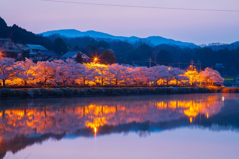 上野公園の画像 - 3枚目