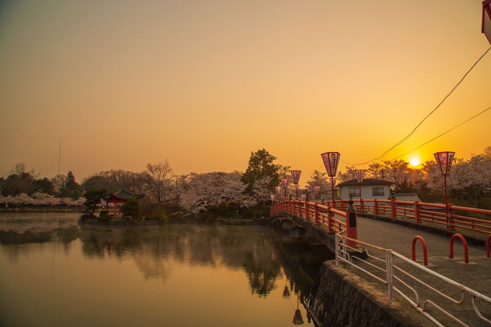 上野公園の画像 - 5枚目