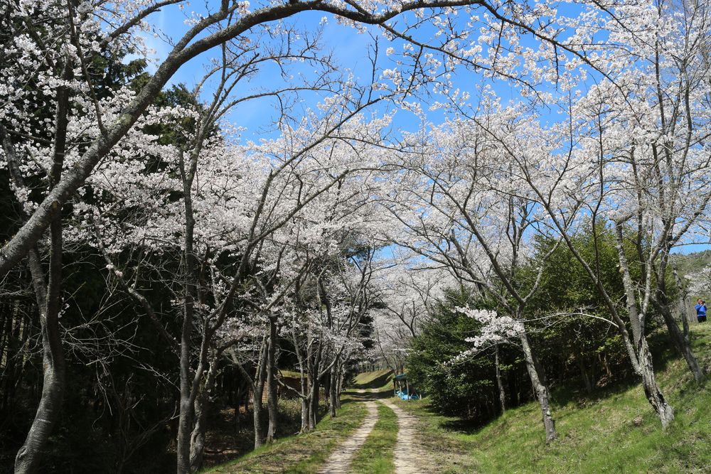 世羅甲山ふれあいの里の画像 - 3枚目