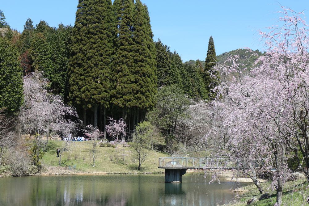世羅甲山ふれあいの里の画像 - 4枚目