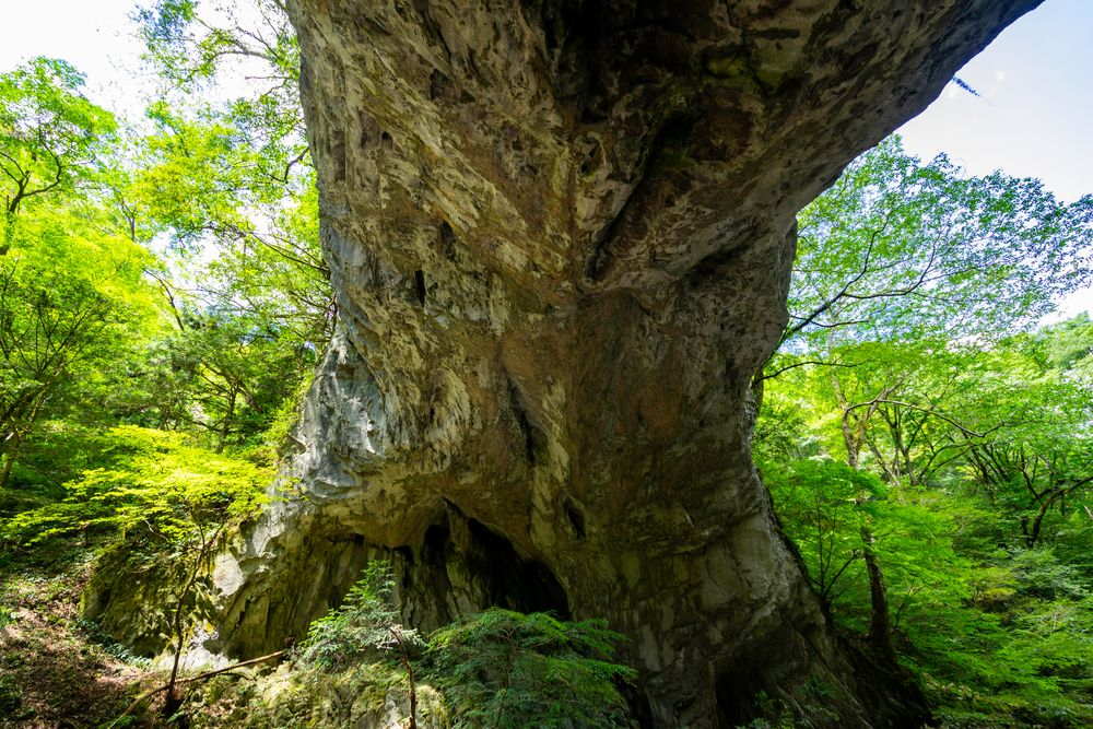 雄橋の画像 - 3枚目