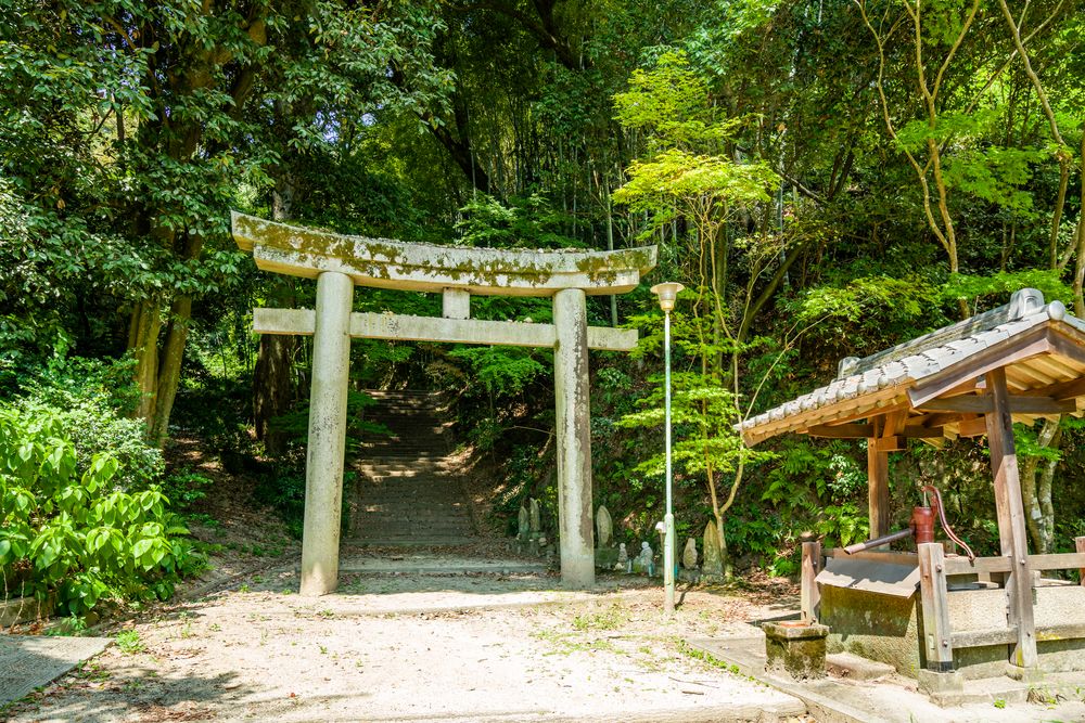 中道山円光寺明王院の画像 - 3枚目