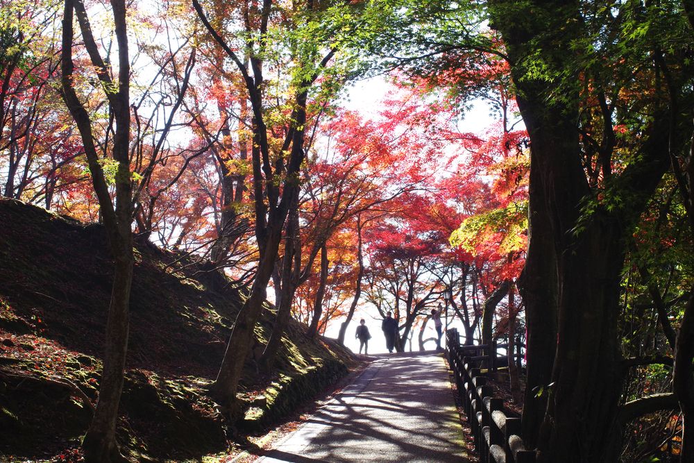 尾関山公園の画像 - 4枚目