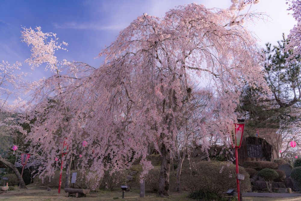 尾関山公園の画像 - 5枚目