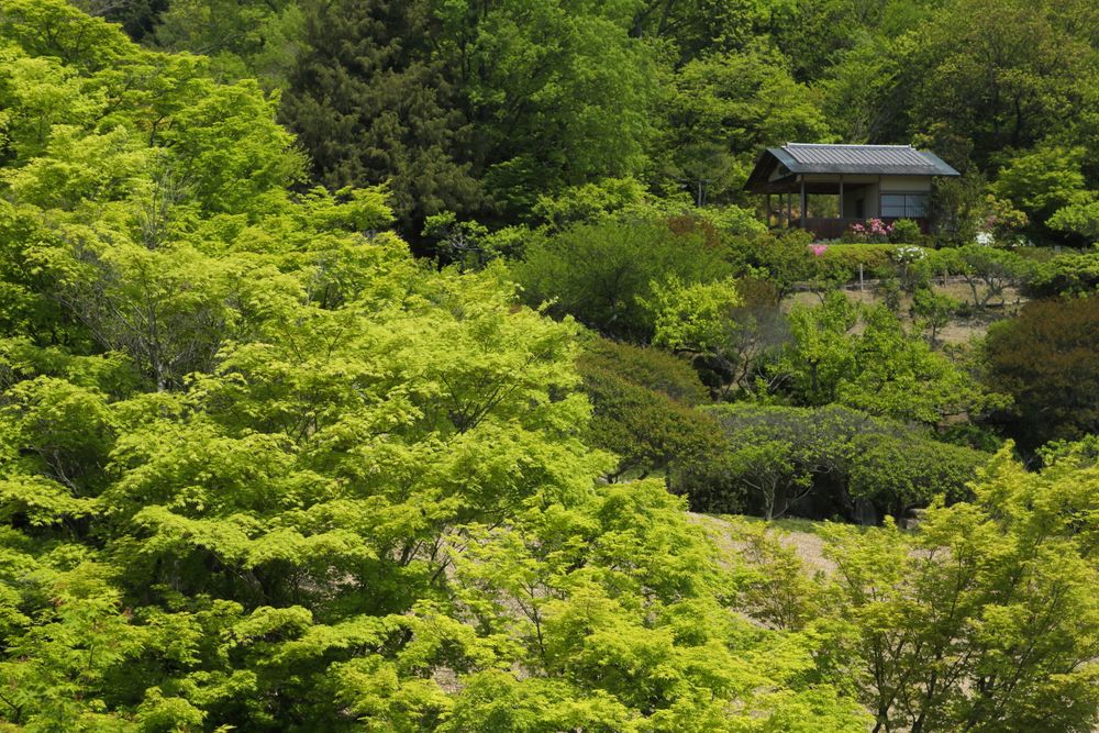 広島県立中央森林公園の画像 - 2枚目