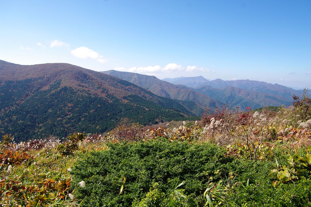 ひろしま県民の森の画像 - 4枚目