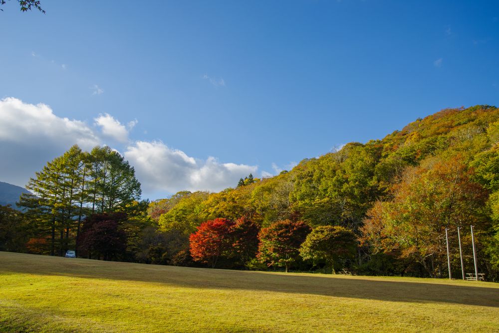 ひろしま県民の森の画像 - 5枚目