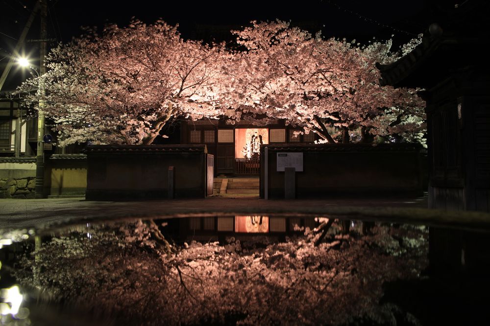 安国寺の画像 - 3枚目