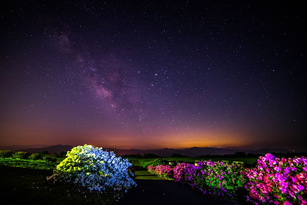 千畳敷の画像 - 4枚目