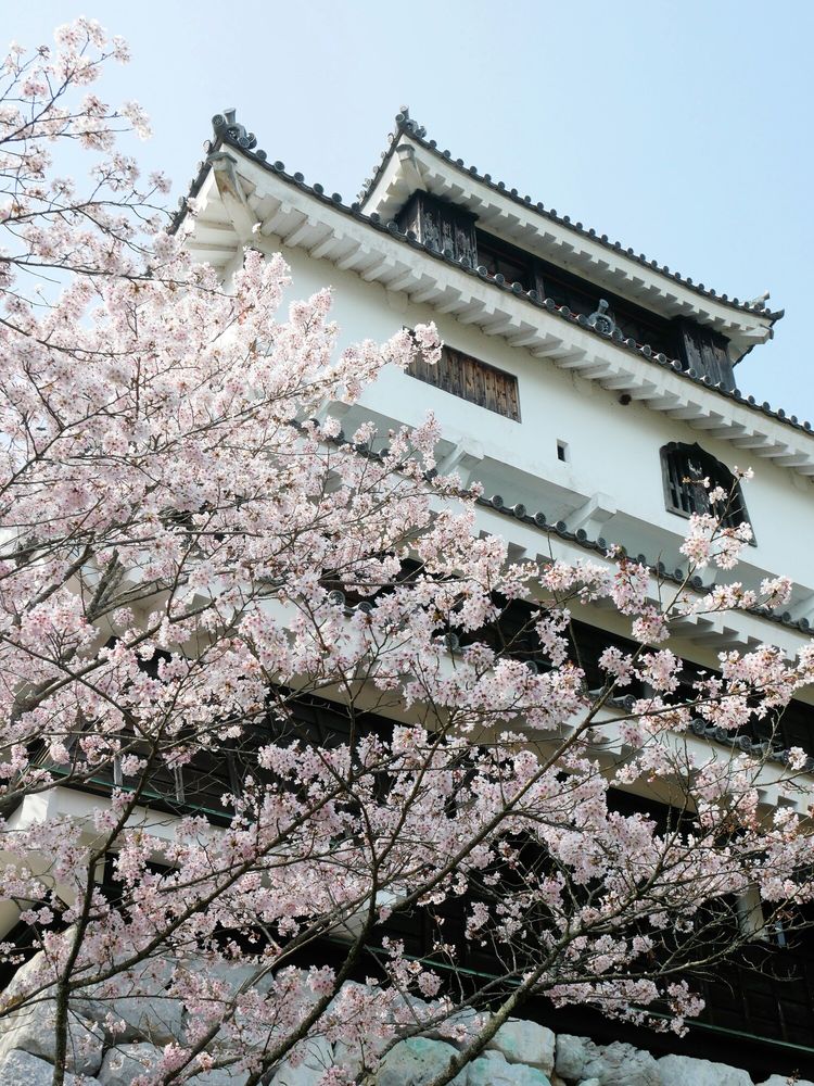 岩国城の画像 - 3枚目