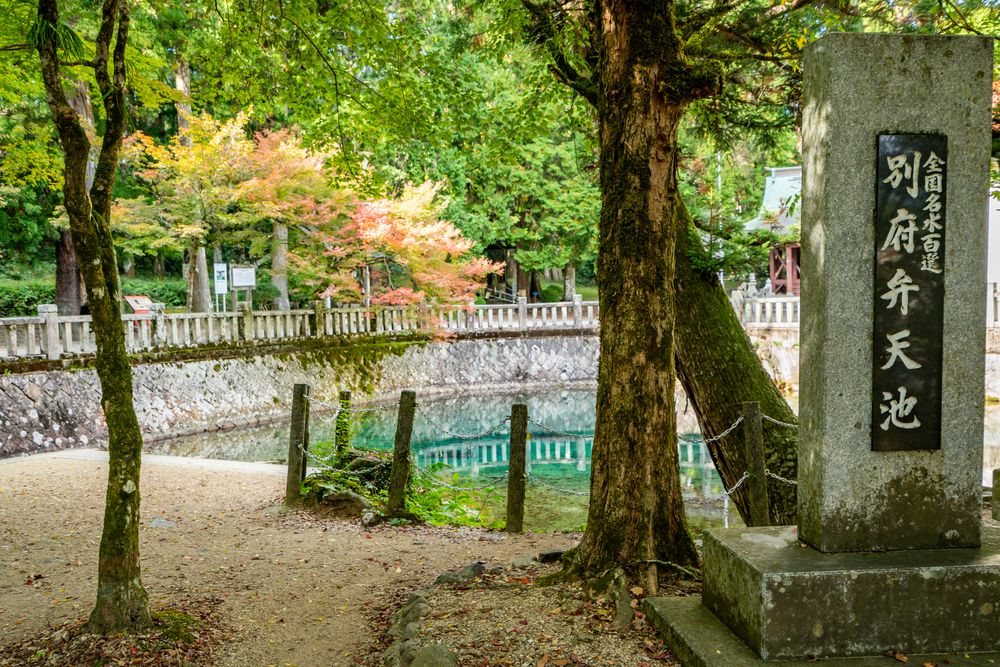 別府弁天池の画像 - 2枚目