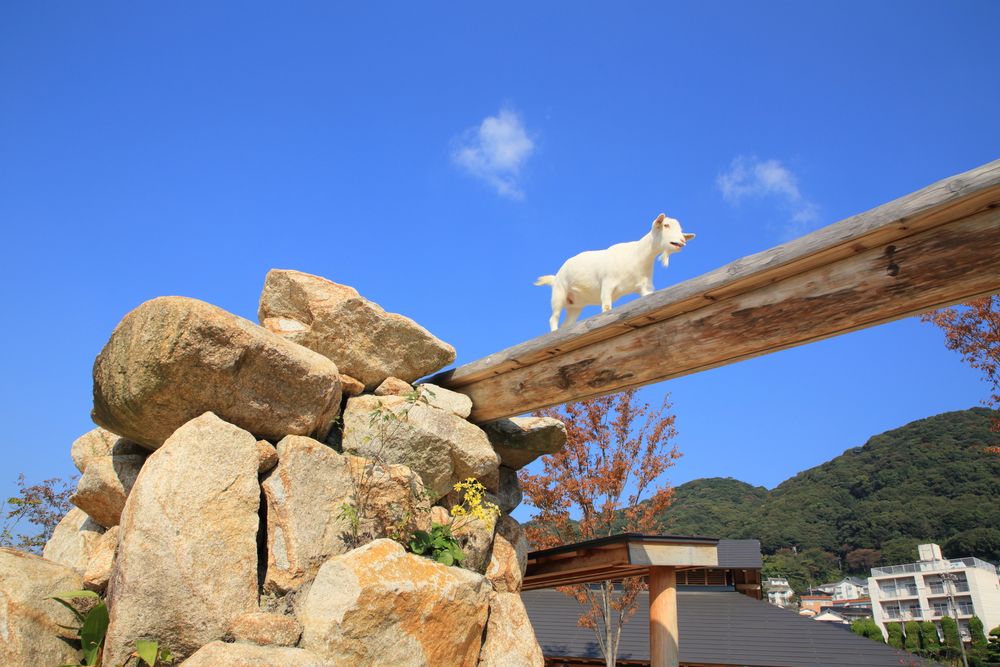 周南市徳山動物園の画像 - 5枚目