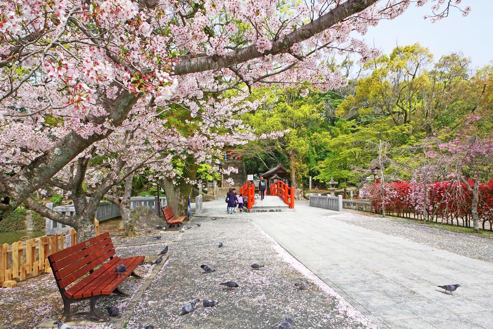 住吉神社の画像 - 3枚目