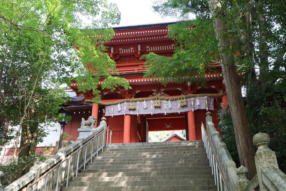 住吉神社の画像 - 5枚目