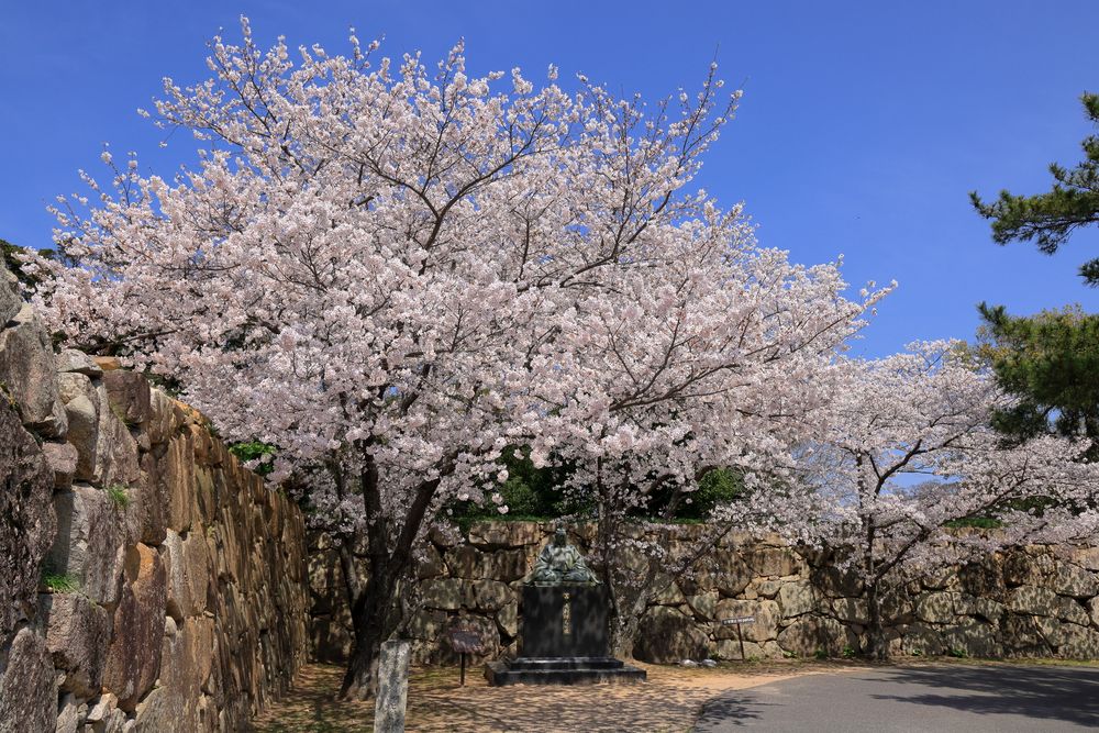 萩城跡指月公園の画像 - 3枚目